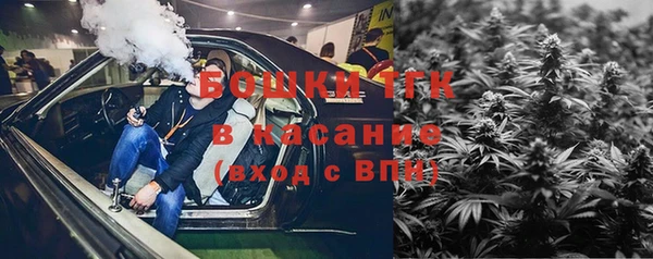 гидра Лагань