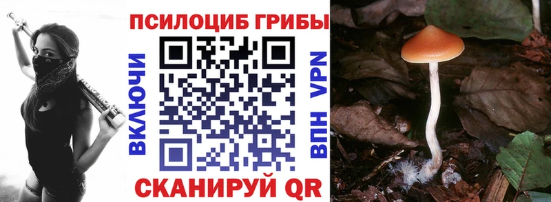 купить закладку  Беслан  Псилоцибиновые грибы GOLDEN TEACHER 