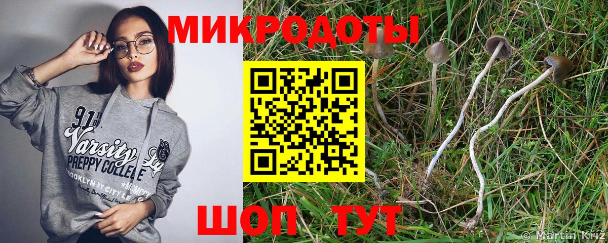 Галлюциногенные грибы GOLDEN TEACHER  Вход с VPN  Беслан  Галлюциногенные грибы Magic Shrooms 